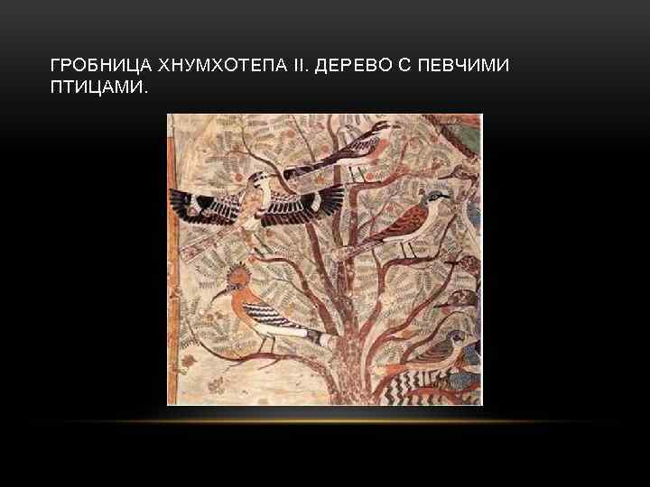 ГРОБНИЦА ХНУМХОТЕПА II. ДЕРЕВО С ПЕВЧИМИ ПТИЦАМИ. 