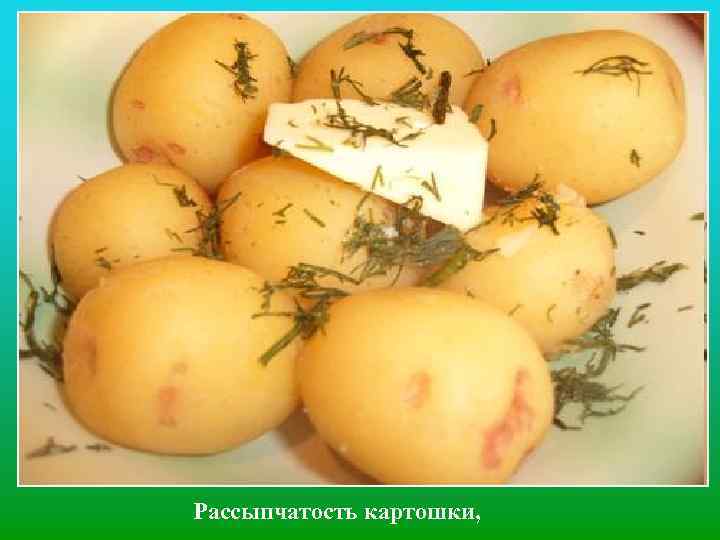 Рассыпчатость картошки, 