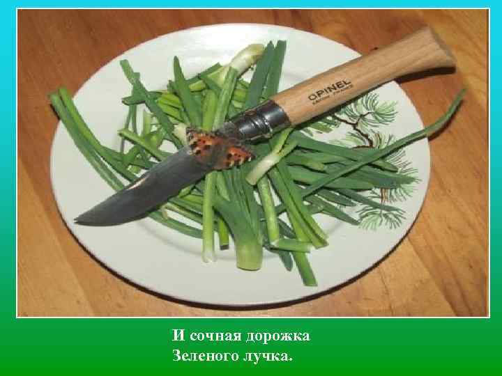 И сочная дорожка Зеленого лучка. 