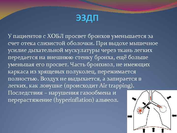 ЭЗДП У пациентов с ХОБЛ просвет бронхов уменьшается за счет отека слизистой оболочки. При