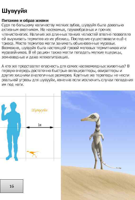 Шувууйя Питание и образ жизни Судя по большому количеству мелких зубов, шувууйя была довольно