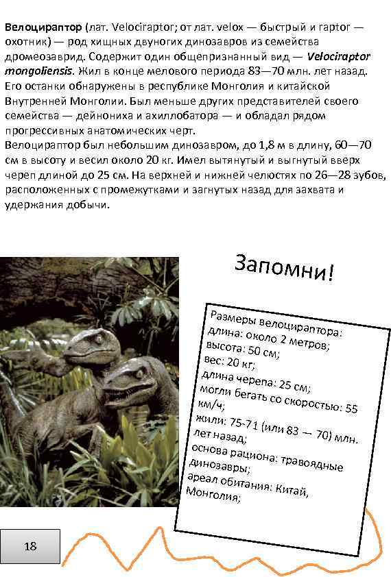 Велоцираптор (лат. Velociraptor; от лат. velox — быстрый и raptor — охотник) — род