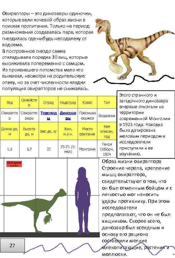 Овирапторы – это динозавры одиночки, которые вели кочевой образ жизни в поисках пропитания. Только