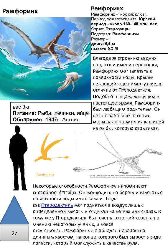 Рамфоринх - 