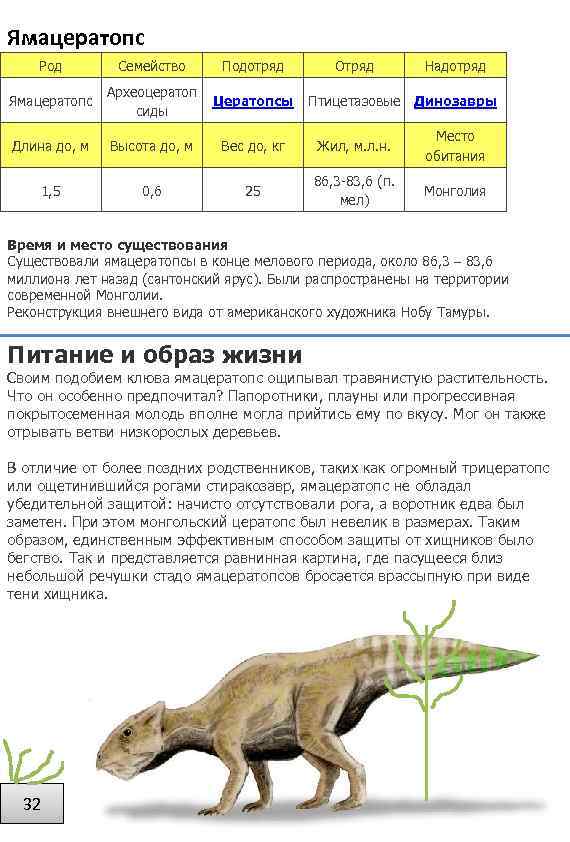 Ямацератопс Род Семейство Подотряд Отряд Надотряд Ямацератопс Археоцератоп сиды Цератопсы Птицетазовые Динозавры Длина до,