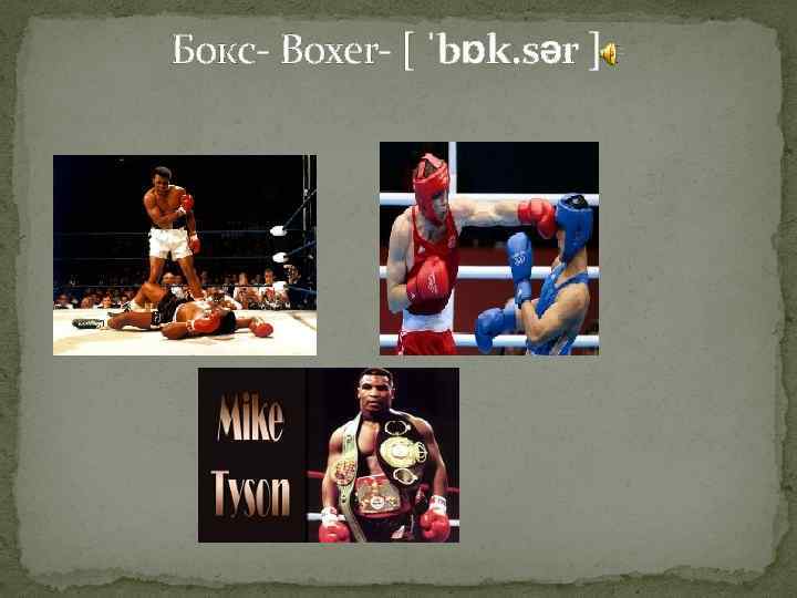  Бокс- Boxer- [ ˈbɒk. sər ] 