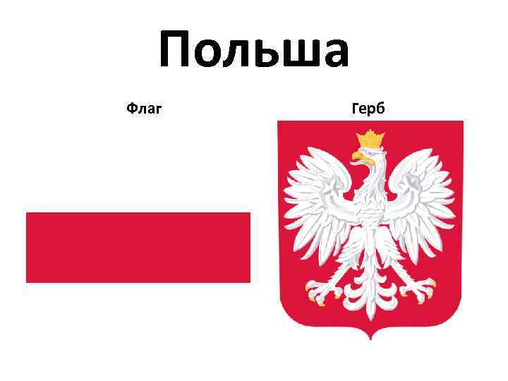 Фото флаг и герб польши