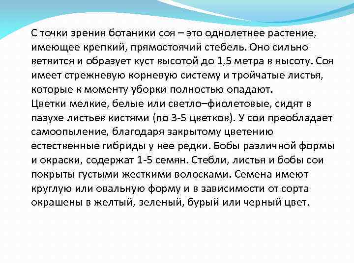 С точки зрения ботаники соя – это однолетнее растение, имеющее крепкий, прямостоячий стебель. Оно