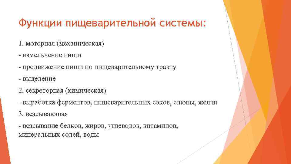 Функции пищеварительной системы: 1. моторная (механическая) - измельчение пищи - продвижение пищи по пищеварительному