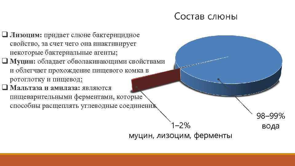 q Лизоцим: придает слюне бактерицидное свойство, за счет чего она инактивирует некоторые бактериальные агенты;