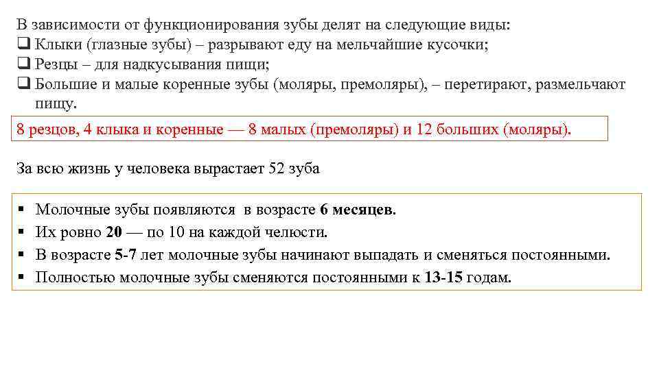 В зависимости от функционирования зубы делят на следующие виды: q Клыки (глазные зубы) –