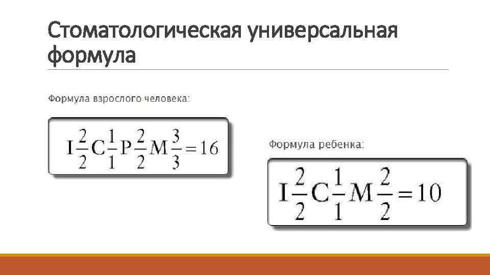 Стоматологическая универсальная формула 