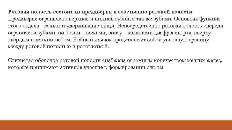 Ротовая полость состоит из преддверья и собственно ротовой полости. Преддверие ограничено верхней и нижней