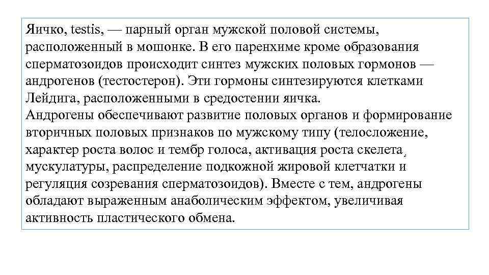 Яичко, testis, — парный орган мужской половой системы, расположенный в мошонке. В его паренхиме