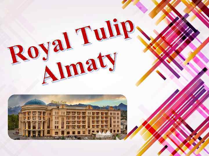 lip Tu al oy R ty a lm A 