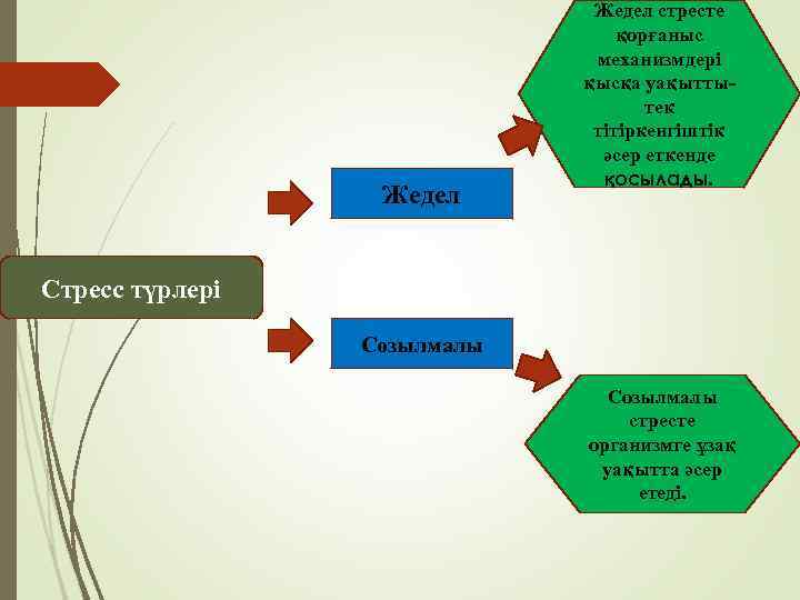Жедел стресте қорғаныс механизмдері қысқа уақыттытек тітіркенгіштік әсер еткенде қосылады. Стресс түрлері Созылмалы стресте
