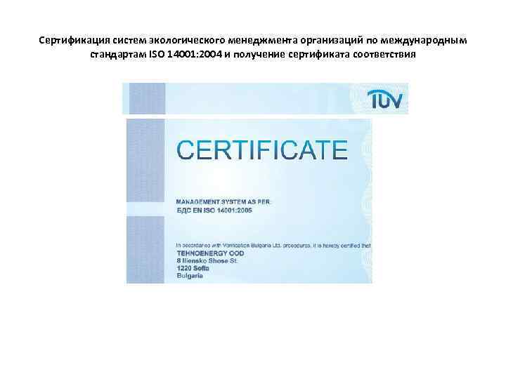 Сертификация систем экологического менеджмента организаций по международным стандартам ISO 14001: 2004 и получение сертификата