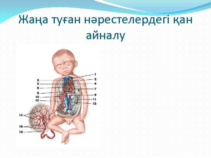 Рахит балаларда презентация