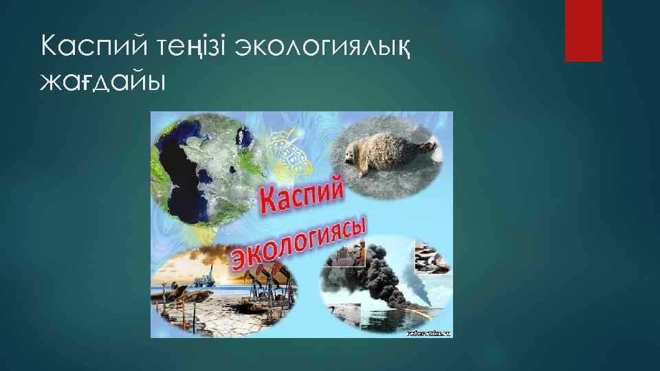 Каспий теңізі экологиялық жағдайы 