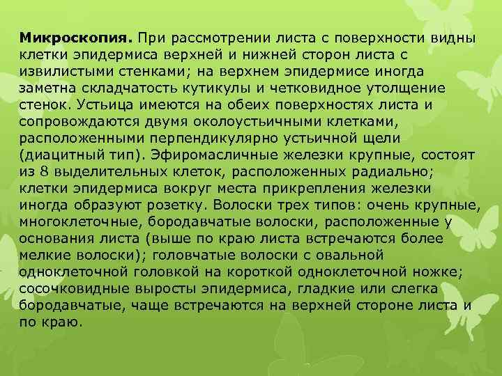 Микроскопия. При рассмотрении листа с поверхности видны клетки эпидермиса верхней и нижней сторон листа