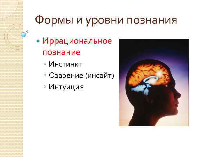 Интуиция познание. Иррациональное познание. Иррациональное познание в философии. Формы иррационального познания. Иррациональные методы познания.