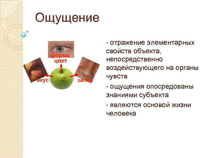 Ощущение • отражение элементарных свойств объекта, непосредственно воздействующего на органы чувств • ощущения опосредованы