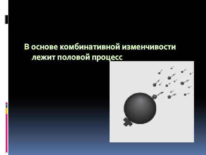 В основе комбинативной изменчивости лежит половой процесс 