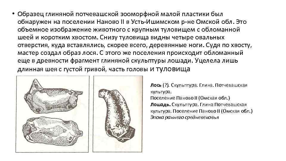  • Образец глиняной потчевашской зооморфной малой пластики был обнаружен на поселении Наново II