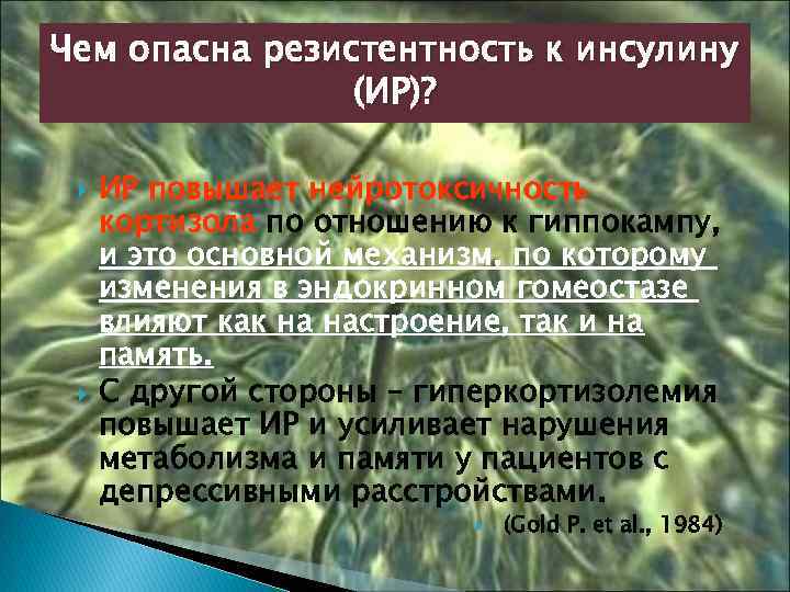 Чем опасна резистентность к инсулину (ИР)? ИР повышает нейротоксичность кортизола по отношению к гиппокампу,