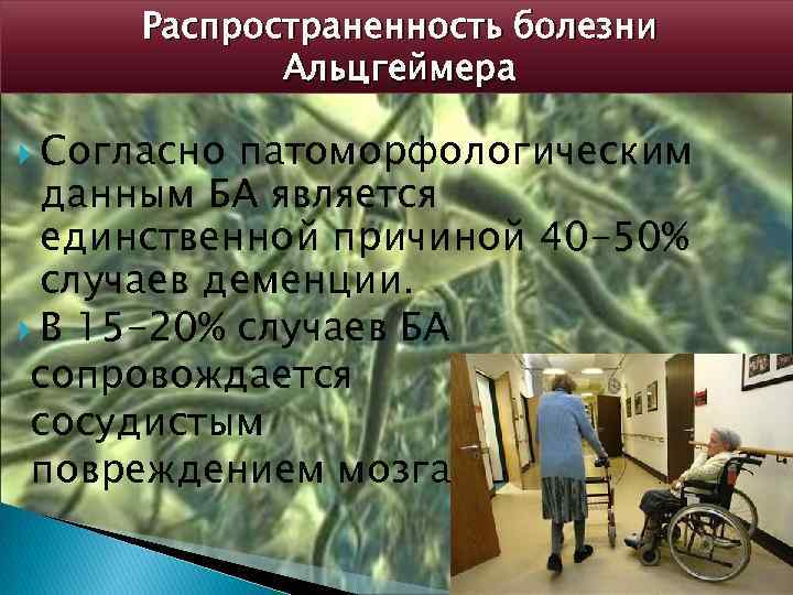 Распространенность болезни Альцгеймера Согласно патоморфологическим данным БА является единственной причиной 40 -50% случаев деменции.