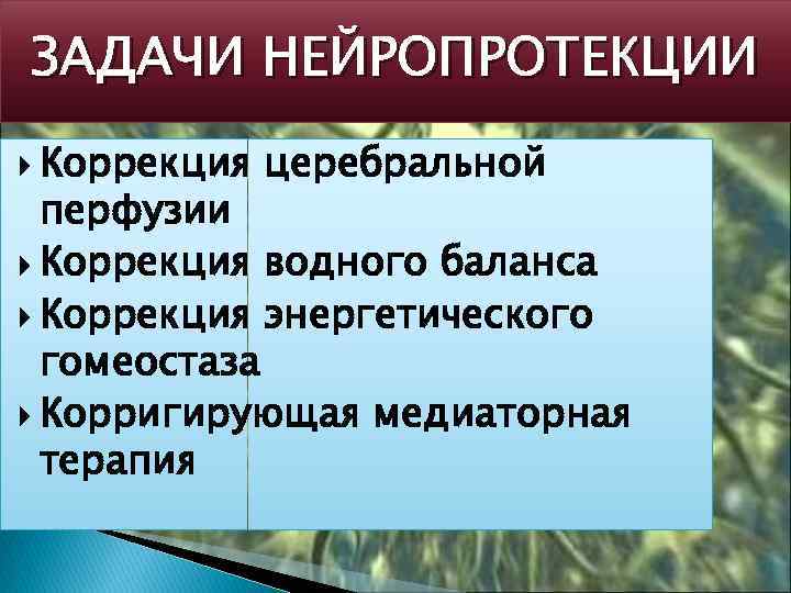 ЗАДАЧИ НЕЙРОПРОТЕКЦИИ Коррекция церебральной перфузии Коррекция водного баланса Коррекция энергетического гомеостаза Корригирующая медиаторная терапия