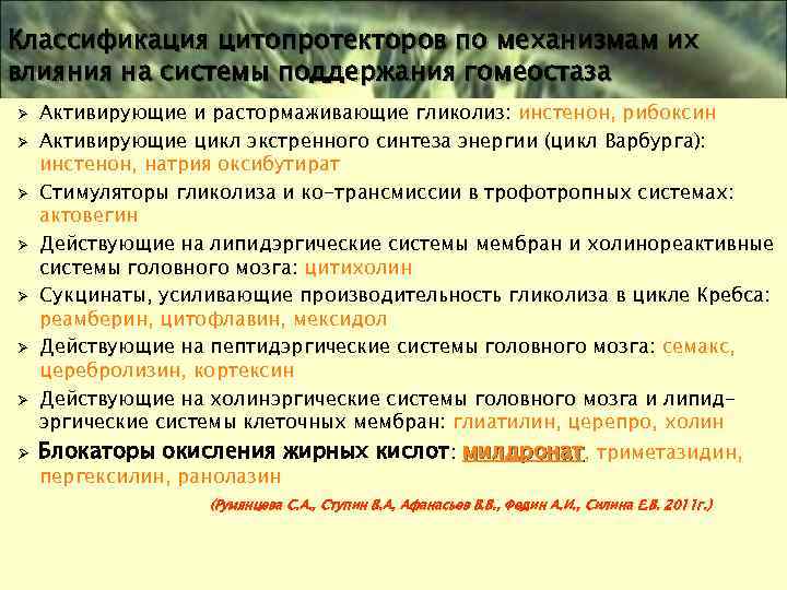 Классификация цитопротекторов по механизмам их влияния на системы поддержания гомеостаза Ø Ø Ø Ø