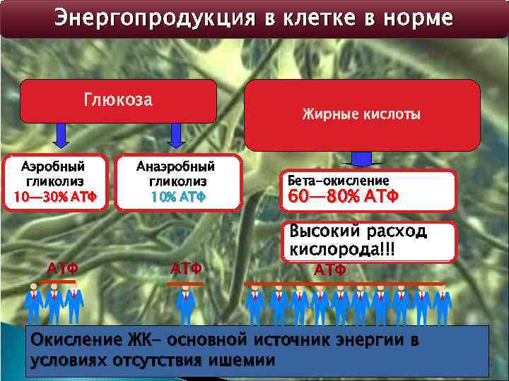 Энергопродукция в клетке в норме Глюкоза Аэробный гликолиз 10— 30% АТФ Жирные кислоты Анаэробный