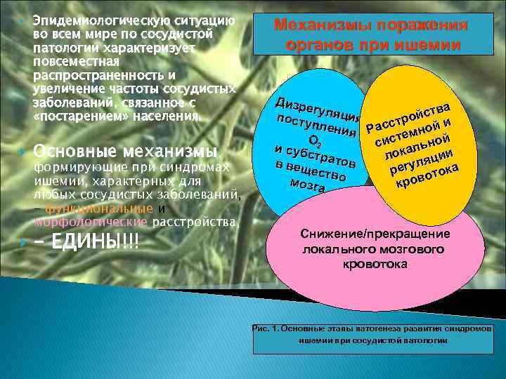  Эпидемиологическую ситуацию во всем мире по сосудистой патологии характеризует повсеместная распространенность и увеличение