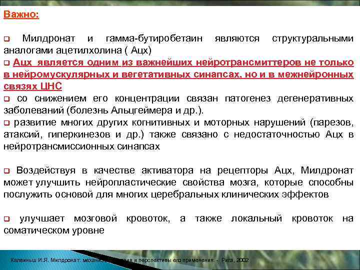 Важно: q Милдронат и гамма-бутиробетаин являются структуральными аналогами ацетилхолина ( Ацх) q Ацх является