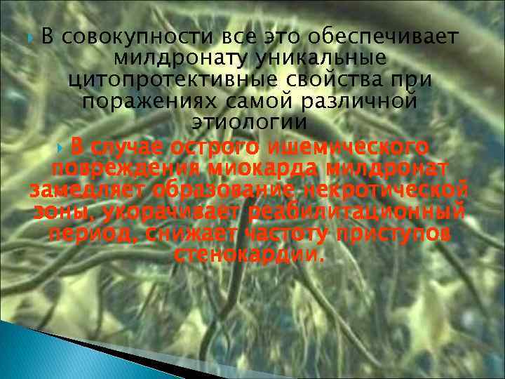 В совокупности все это обеспечивает милдронату уникальные цитопротективные свойства при поражениях самой различной этиологии