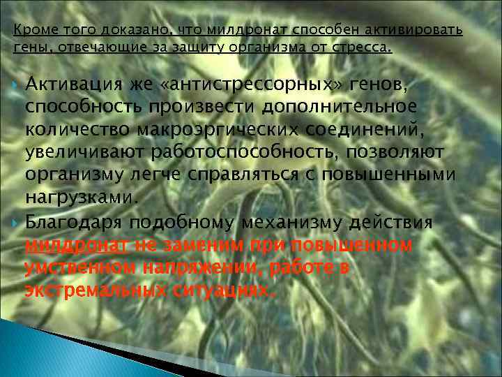 Кроме того доказано, что милдронат способен активировать гены, отвечающие за защиту организма от стресса.