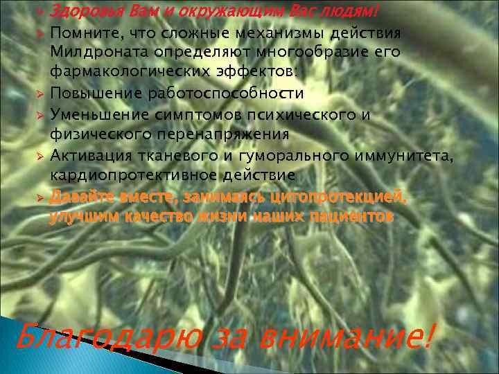 Ø Здоровья Вам и окружающим Вас людям! Помните, что сложные механизмы действия Милдроната определяют