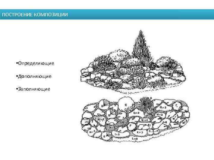 ПОСТРОЕНИЕ КОМПОЗИЦИИ • Определяющие • Дополняющие • Заполняющие 