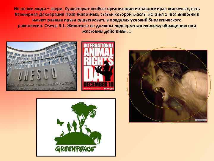 Против убийств животных. Всемирная декларация прав животных. Декларация защиты прав животных.