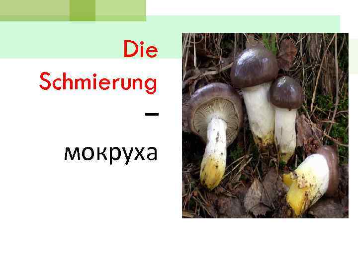 Die Schmierung – мокруха 