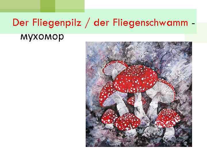 Der Fliegenpilz / der Fliegenschwamm мухомор 