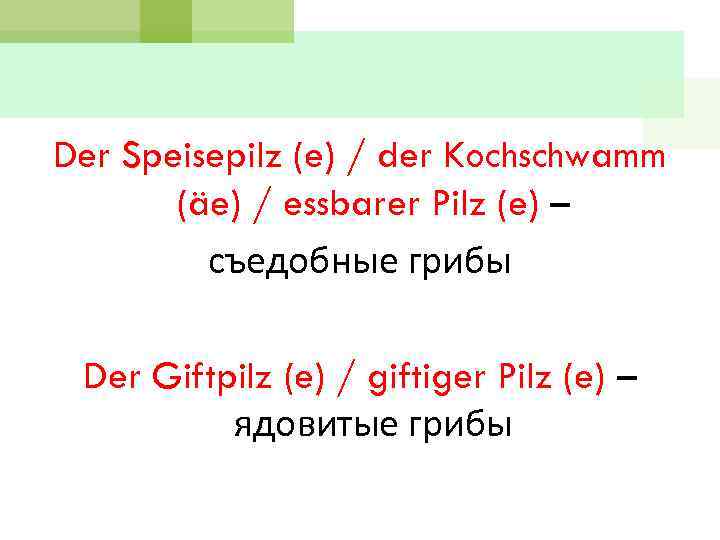 Der Speisepilz (e) / der Kochschwamm (äe) / essbarer Pilz (e) – съедобные грибы