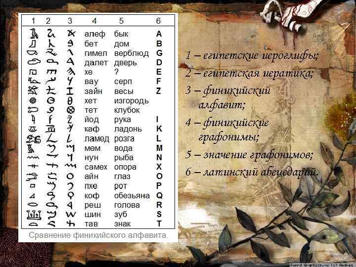 1 – египетские иероглифы; 2 – египетская иератика; 3 – финикийский алфавит; 4 –