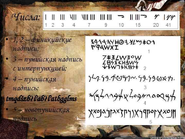 Числа: • 1, 2 – финикийские надписи; • 3 – пунийская надпись с интерпункцией;