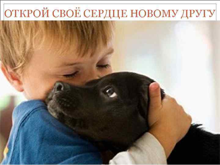 ОТКРОЙ СВОЁ СЕРДЦЕ НОВОМУ ДРУГУ 