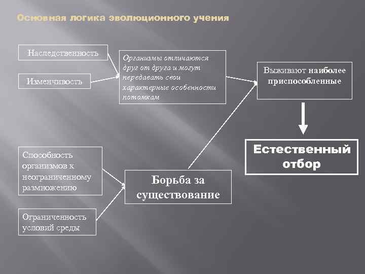 Основная логика эволюционного учения Наследственность Изменчивость Способность организмов к неограниченному размножению Ограниченность условий среды