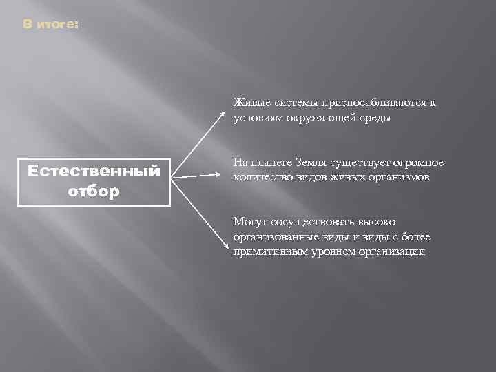 В итоге: Живые системы приспосабливаются к условиям окружающей среды Естественный отбор На планете Земля