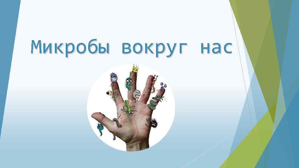 Проект микробы 3 класс