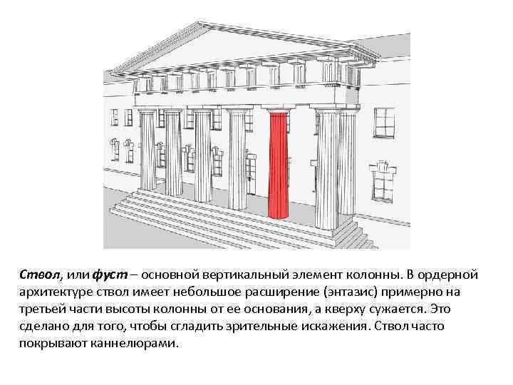 Ствол, или фуст – основной вертикальный элемент колонны. В ордерной архитектуре ствол имеет небольшое